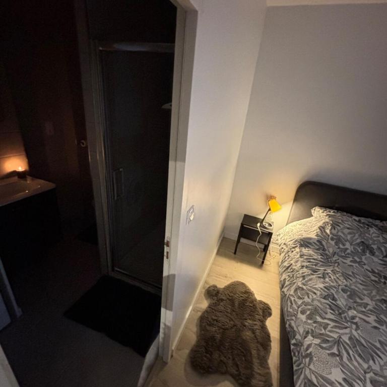 Le repos des promeneurs - complete apartment - Apartment mit 1 Schlafzimmer - 4