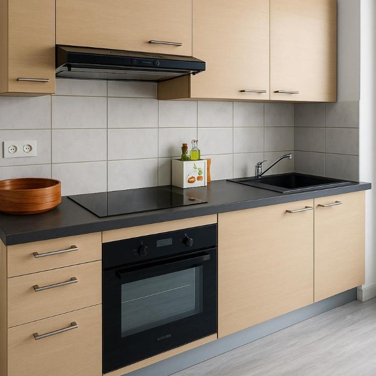 Large 1 bedroom apartment, balcony, very central Nice - Appartement 1 Chambre - 3
