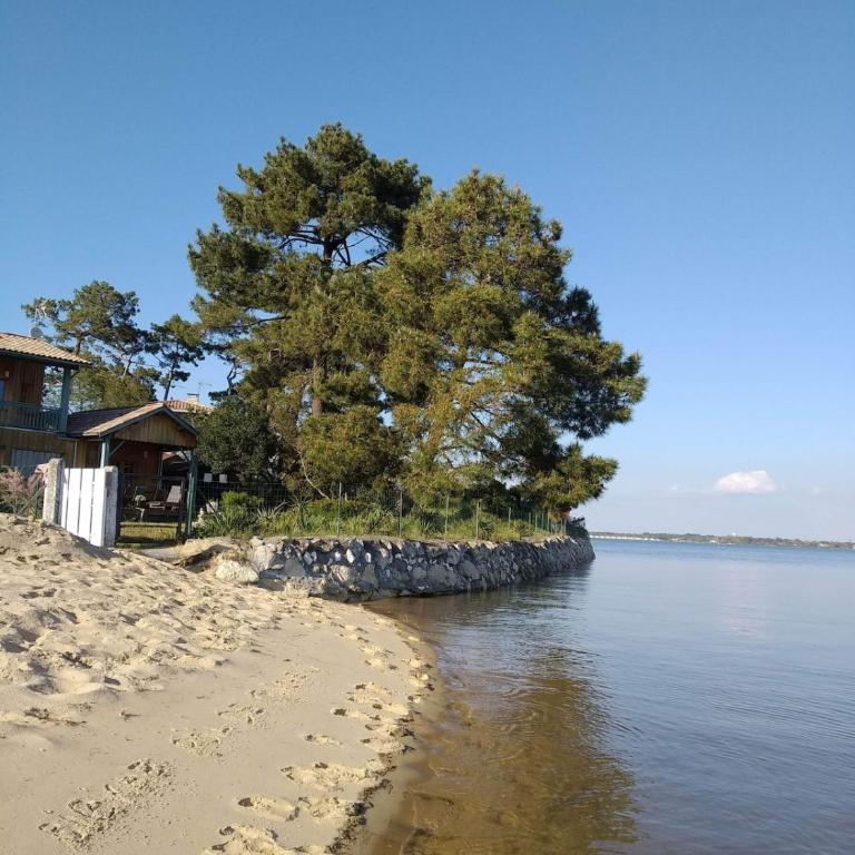 Villa Les Pieds dans L'Eau - Villa - 2
