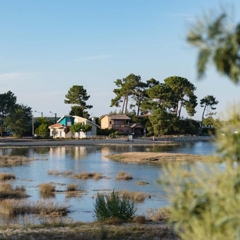 Villa Les Pieds dans L'Eau - Villa - 21