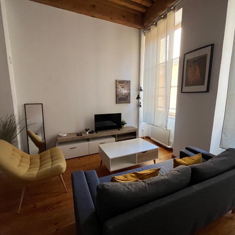 Bel appartement rénové - Lyon 3ème - Appartamento con 1 Camera da Letto - 1