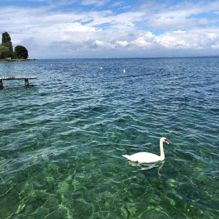 Le Ponton du Léman - Appart accès privé au lac - Appartement 2 Chambres - 23