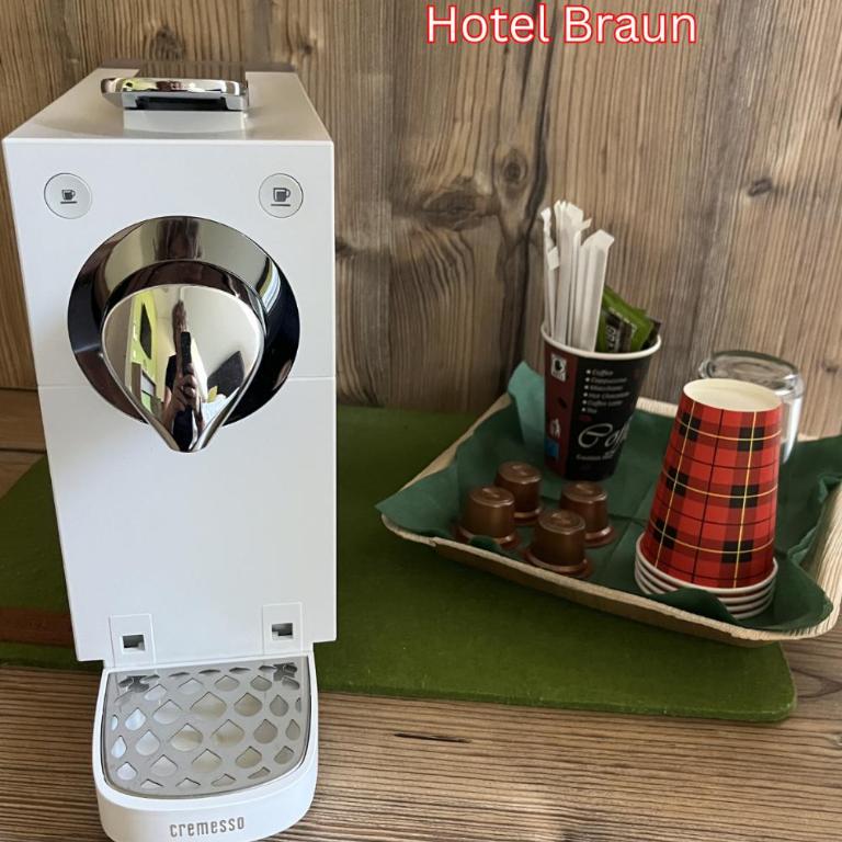 Hotel Braun - Standard Double Room / 3 - 1