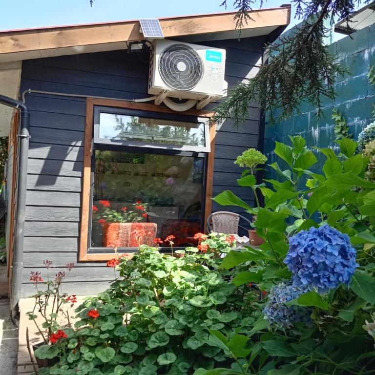 TINY HOUSE EL ROBLE - One-Bedroom Apartment - 2