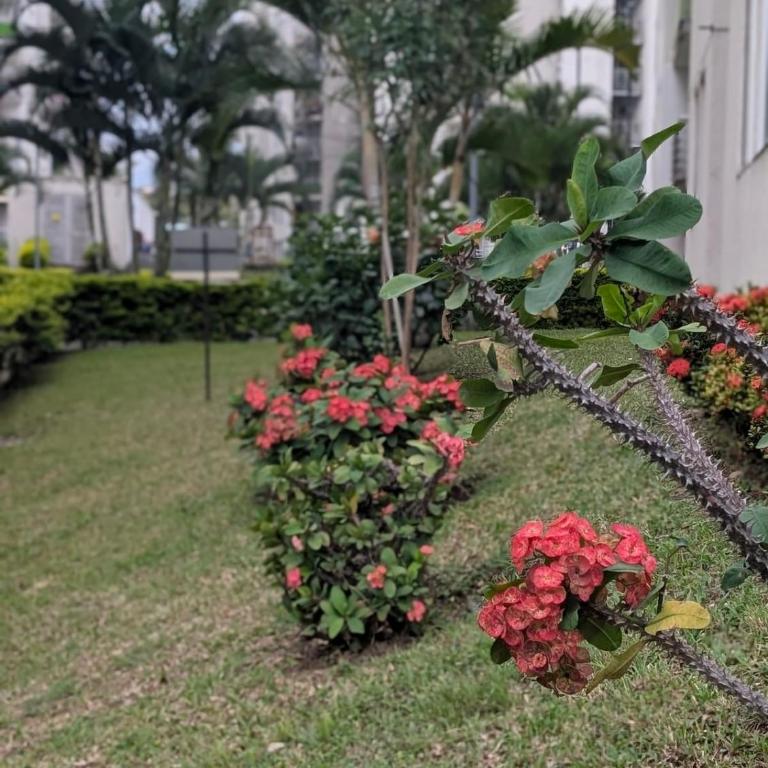 Ibagué JUNTO AL PARQUE DEPORTIVO - Three-Bedroom Apartment - 20