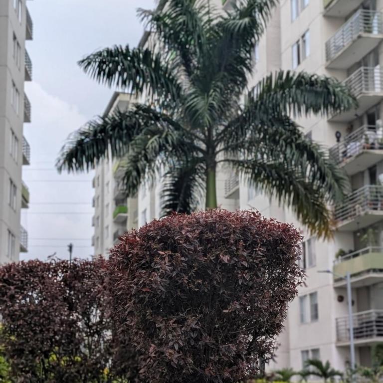 Ibagué JUNTO AL PARQUE DEPORTIVO - Apartamento de 3 dormitorios - 11
