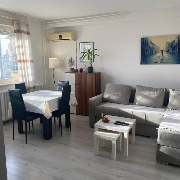 Pap Center Loft, garazno mesto - Apartman sa 1 Spavaćom Sobom - 3