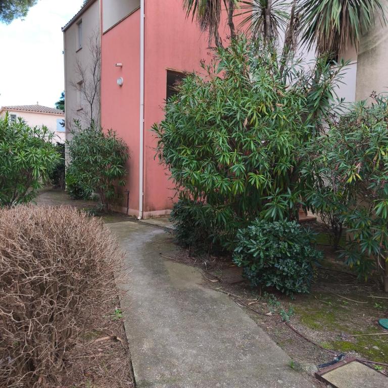 Le nid marin - Appartement 1 Chambre - 18