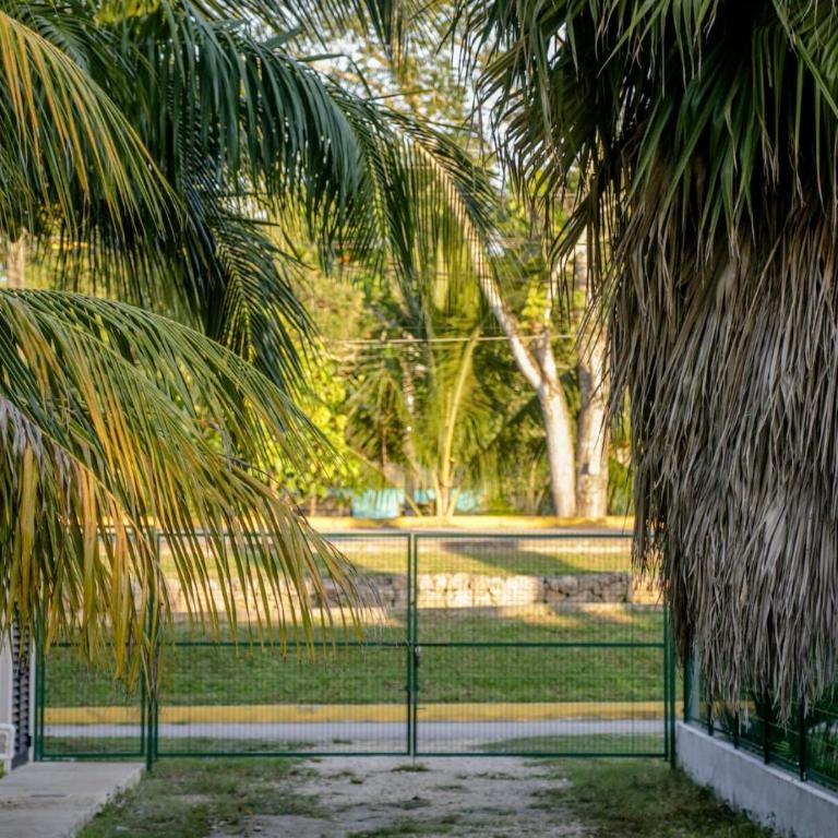 Kam Na Ha #202 - Elegant, newly listed, 2 Bedroom Retreat with Rooftop Oasis and Pool - Apartamento de 2 dormitorios - 13