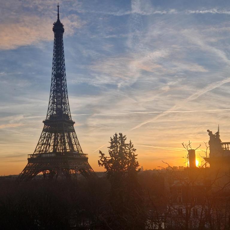 Tour Eiffel luxury - Appartement 1 Chambre - 13