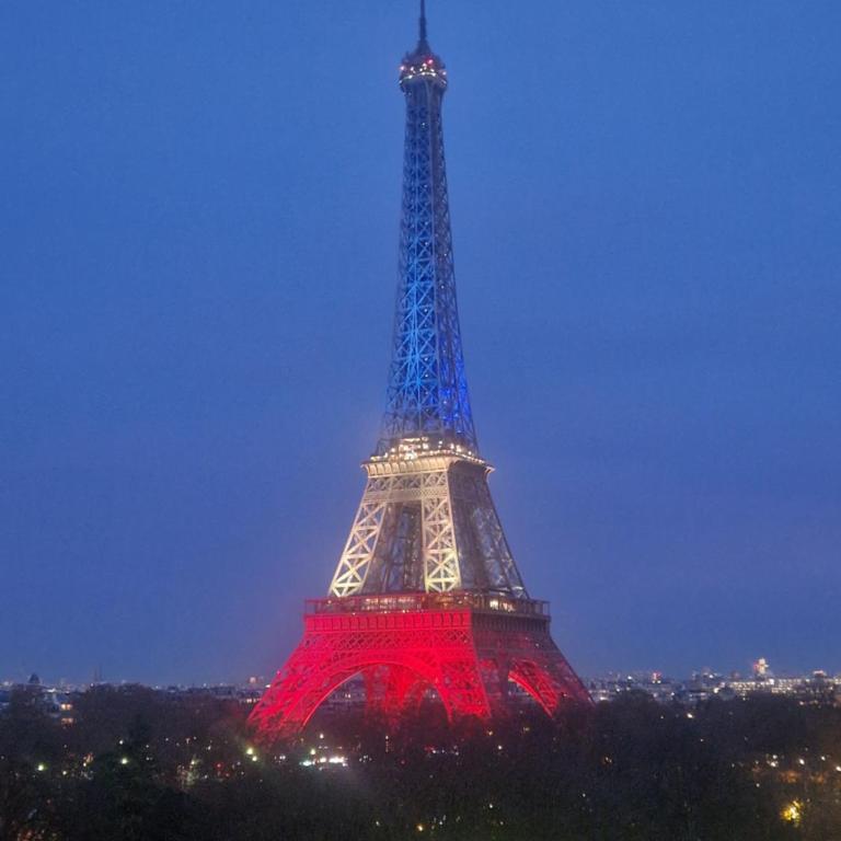 Tour Eiffel luxury - Appartement 1 Chambre - 19