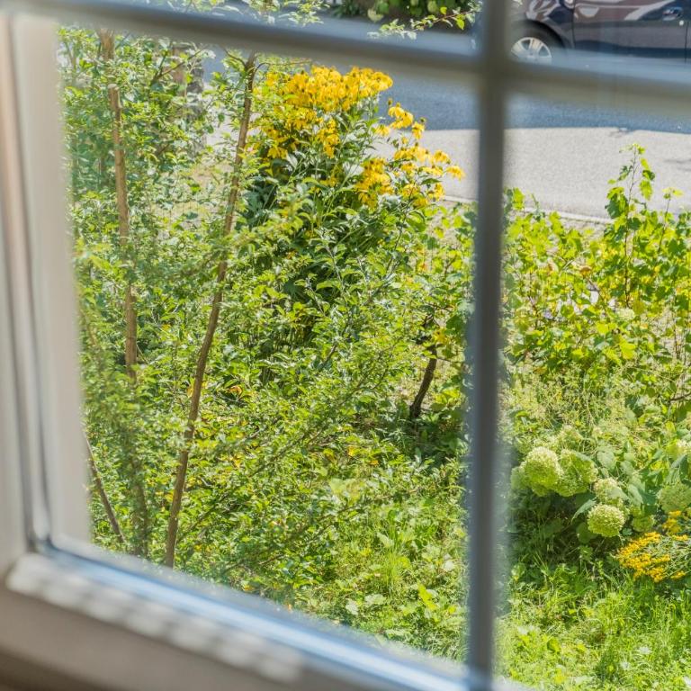 Das Grüne Hotel zur Post - 100 % BIO - Einzelzimmer mit kleinem Doppelbett - 4