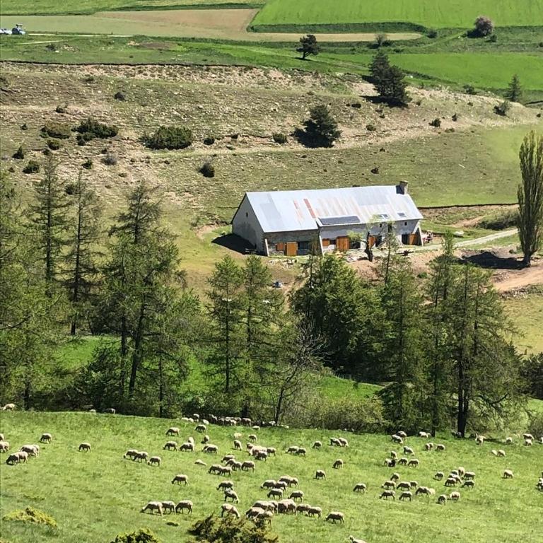 Forest d' ARTO - Chalet 3 Chambres - 20