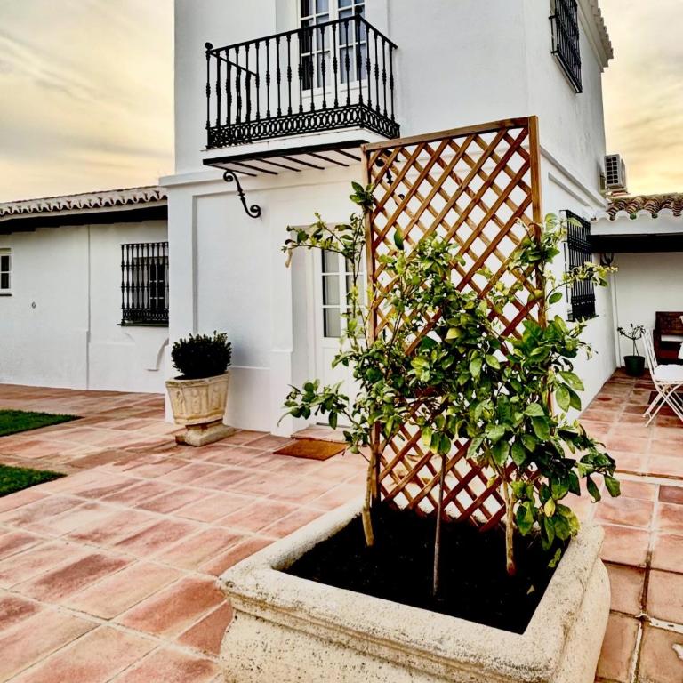 Apartamento La Casita de el Castillo - Apartamento de 1 dormitorio - 19