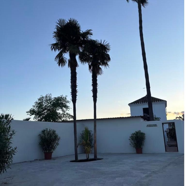 Apartamento La Casita de el Castillo - Apartamento de 1 dormitorio - 31