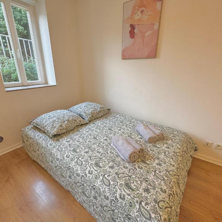 Spacious 1 bedroom apartment - Free parking around - Appartement 1 Chambre - 12