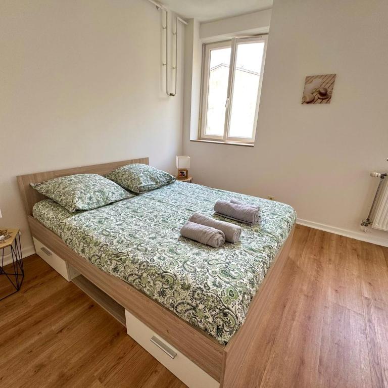 Spacious 1 bedroom apartment - Free parking around - Appartement 1 Chambre - 1