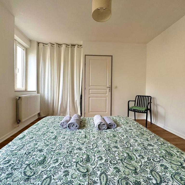 Spacious 1 bedroom apartment - Free parking around - Appartement 1 Chambre - 4