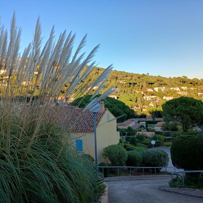 Appartement Provencal Meerblick Terrasse - Apartment mit 2 Schlafzimmern - 5