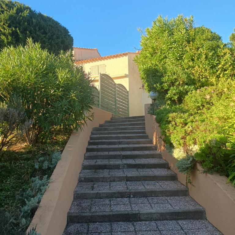 Appartement Provencal Meerblick Terrasse - Apartment mit 2 Schlafzimmern - 6