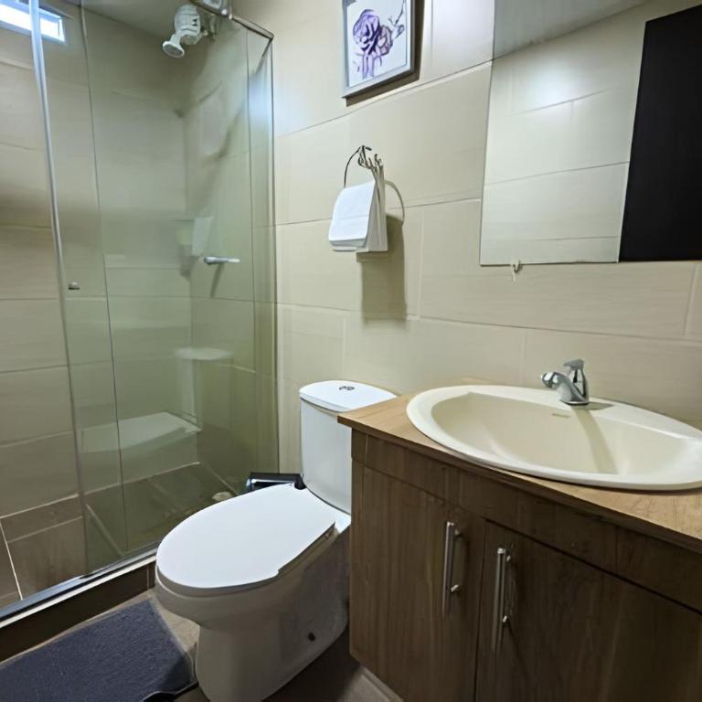 amplio y lujoso apartasuite en el centro - Three-Bedroom Apartment - 9