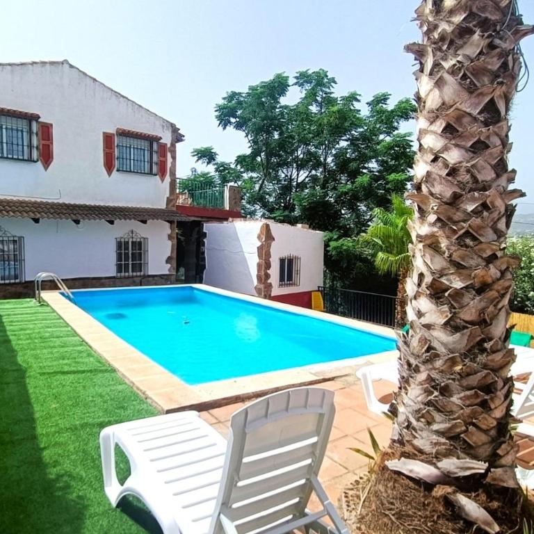 Cucazorra - Superior Apartment with Balcony - 1