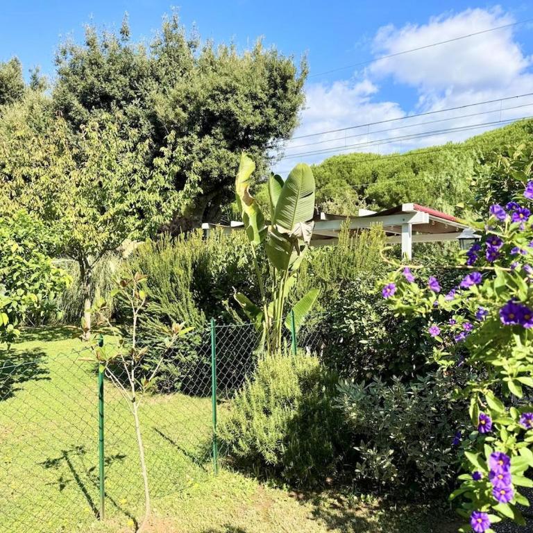 Casa Lella Oleandro - Appartamento con 3 Camere da Letto - 25