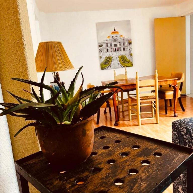 Céntrico y caminable en CDMX, Todo a unos pasos - Two-Bedroom Apartment - 16