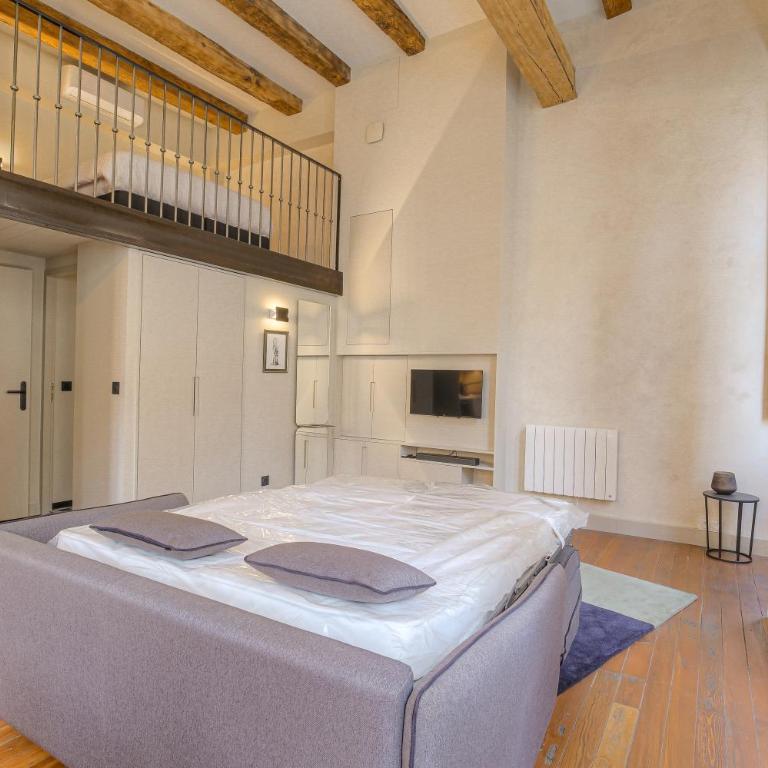 Duplex lumineux et authentique, Vieux-Lyon - Appartamento con 1 Camera da Letto - 9