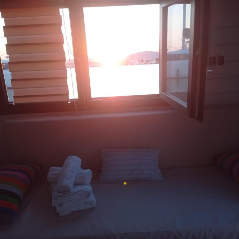Houseboat BluSeaDream Dolphin 2 - Casa Mobile - 11