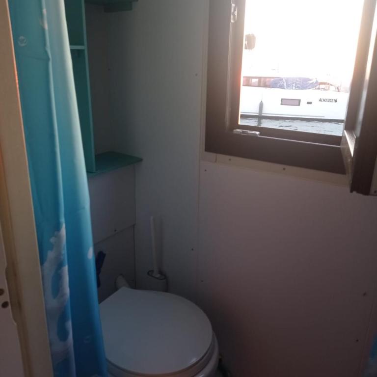 Houseboat BluSeaDream Dolphin 2 - Casa Mobile - 9