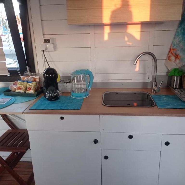 Houseboat BluSeaDream Dolphin 2 - Casa Mobile - 5