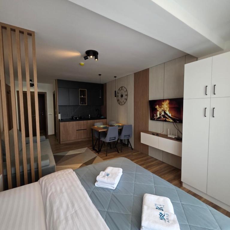 SkyKop Apartmani - Apartman sa 1 Spavaćom Sobom, Balkonom i Pogledom na Planinu - 20