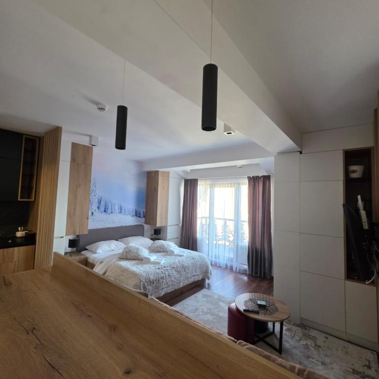 SkyKop Apartmani - Apartman sa 1 Spavaćom Sobom - 19