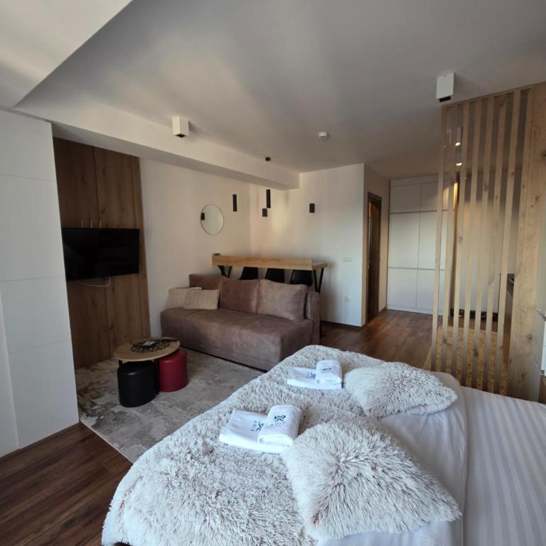 SkyKop Apartmani - Apartman sa 1 Spavaćom Sobom - 18