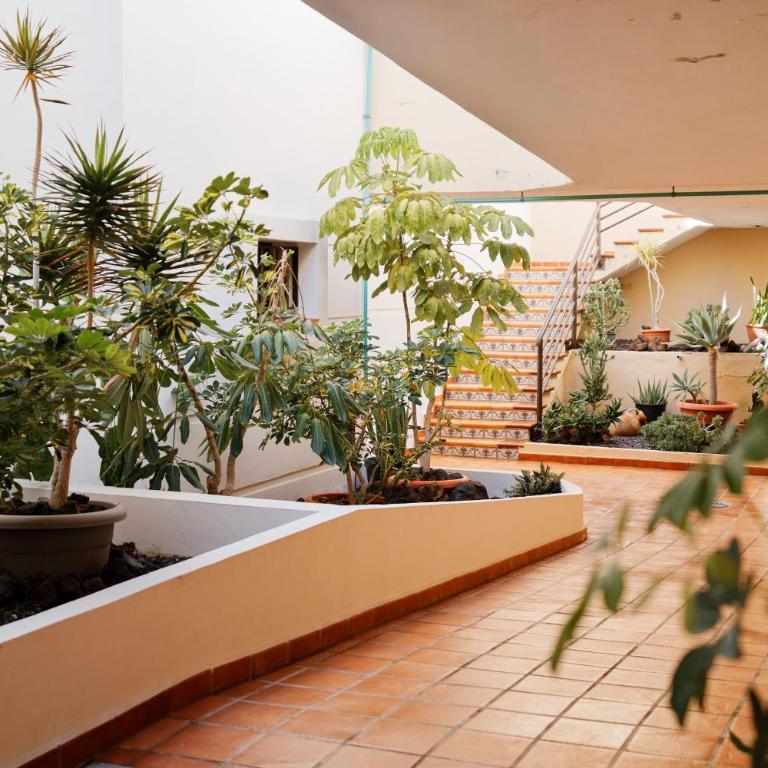 Sun&Relax Apto 2dormitorios 6-7pWifi&Piscina - Apartamento de 2 dormitorios - 14