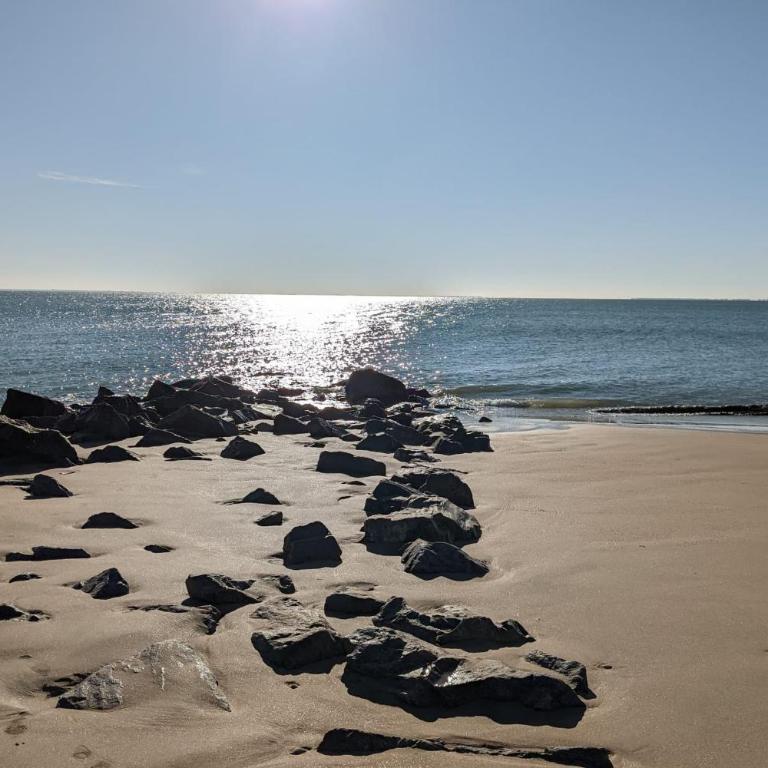 Logement chaleureux à deux pas de la plage - Appartement - 17