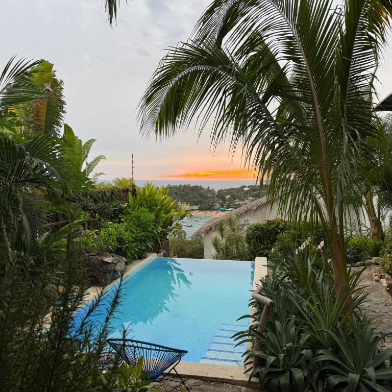 Poolside Cabaña Studio with stunning ocean view - Habitación Doble con terraza - 11