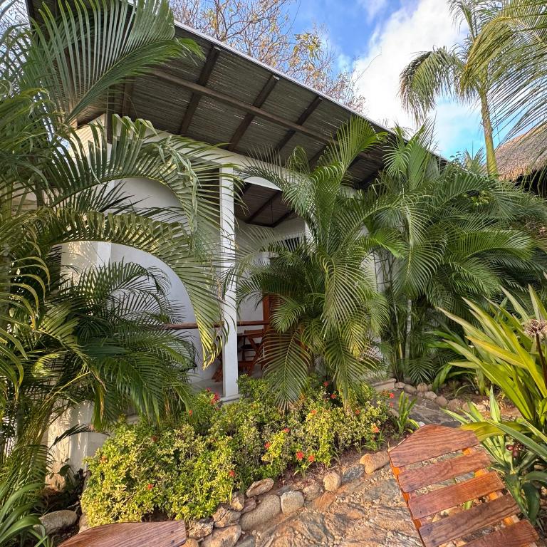 Poolside Cabaña Studio with stunning ocean view - Habitación Doble con terraza - 2