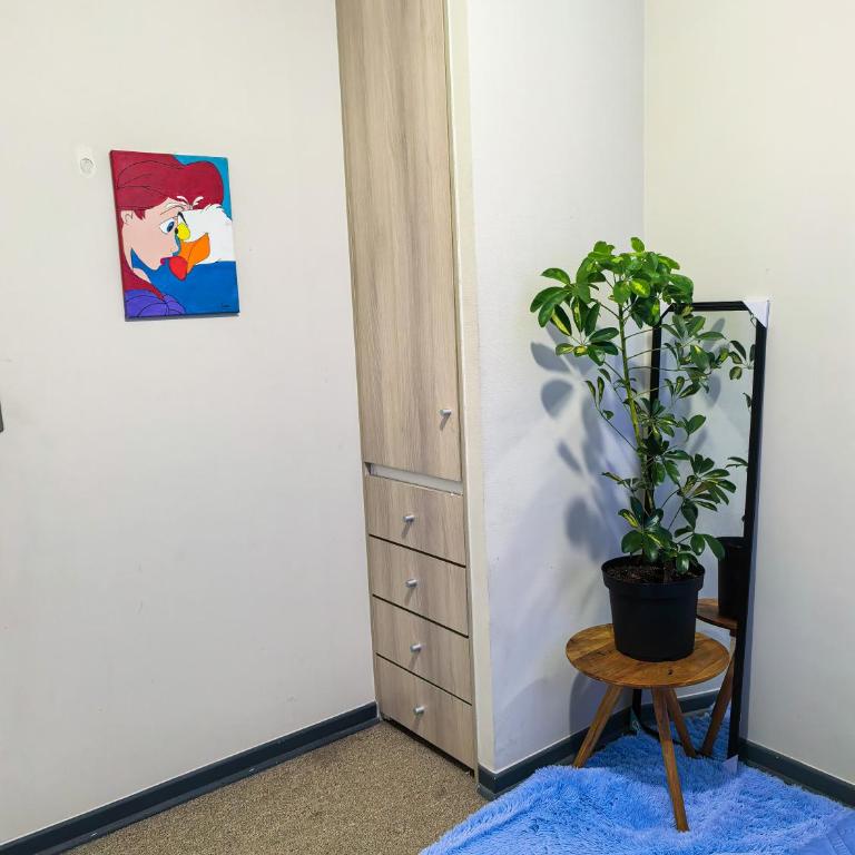 Departamento en condominio con piscina - Two-Bedroom Apartment - 10