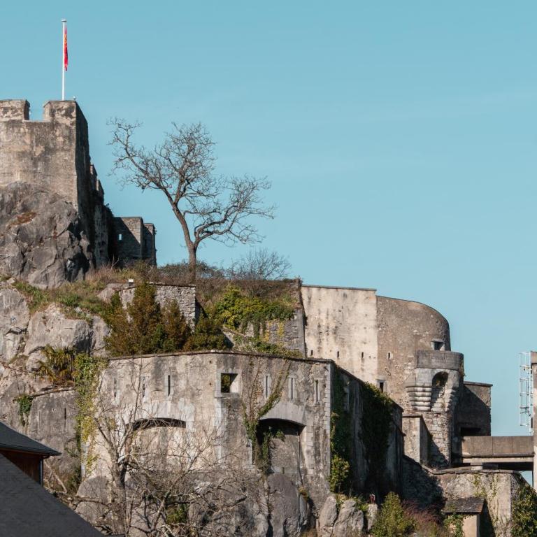 Le Belvédère - Terrasse & vue panoramique - 9 min sanctuaires - Appartamento con 3 Camere da Letto - 51