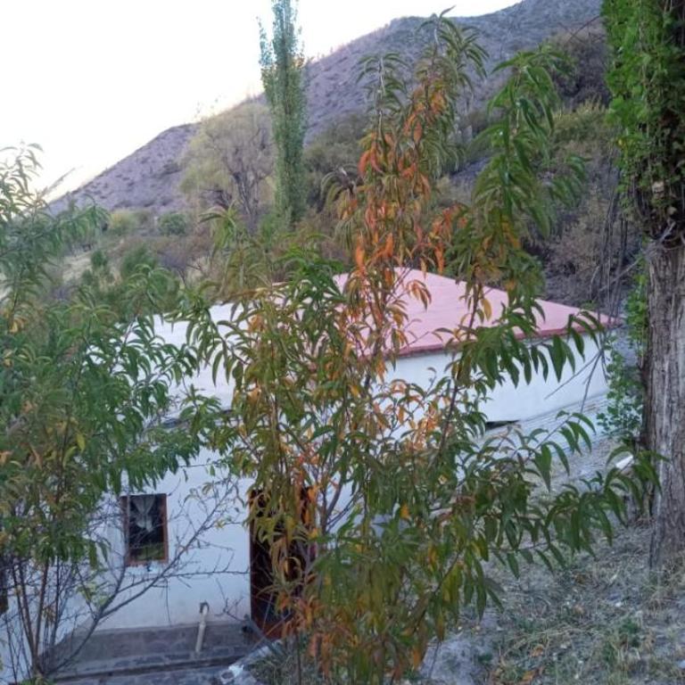 Cabaña Los Alamos - Two-Bedroom Apartment - 5