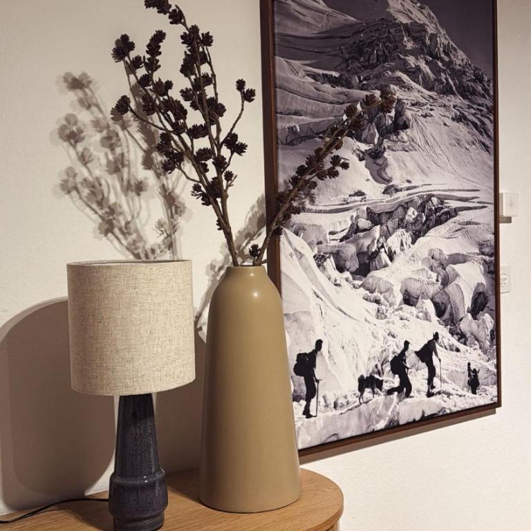 St Moritz Suite - Apartment mit 1 Schlafzimmer - 7