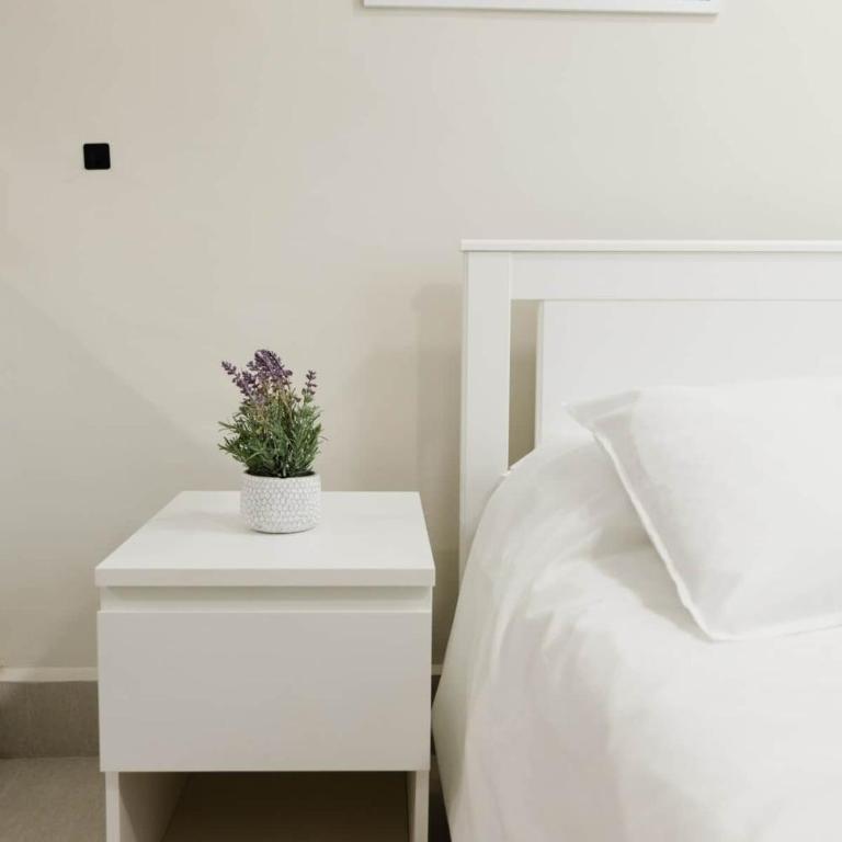 Medical Stay Ares Monterrey | A pasos de Hospital - Apartment - 8