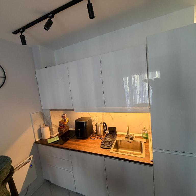 Royal Balkan Square Apartman - Apartman sa 1 Spavaćom Sobom - 14