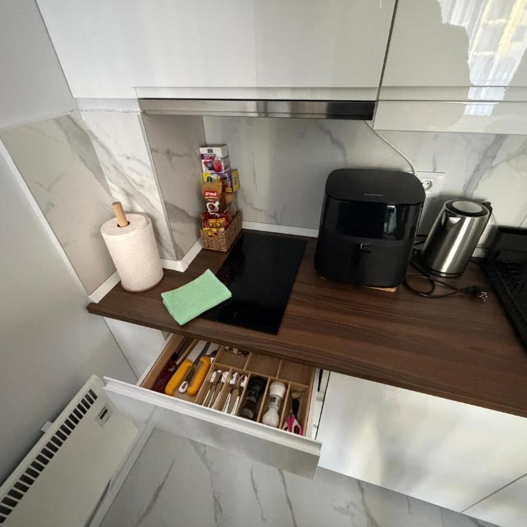 Royal Balkan Square Apartman - Apartman sa 1 Spavaćom Sobom - 18