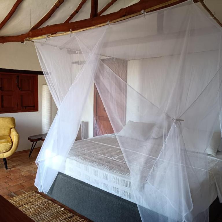 El Paraiso - B&B Finca San Vicente - One-Bedroom Bungalow - 1