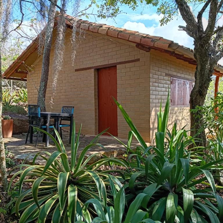 El Paraiso - B&B Finca San Vicente - One-Bedroom Bungalow - 17