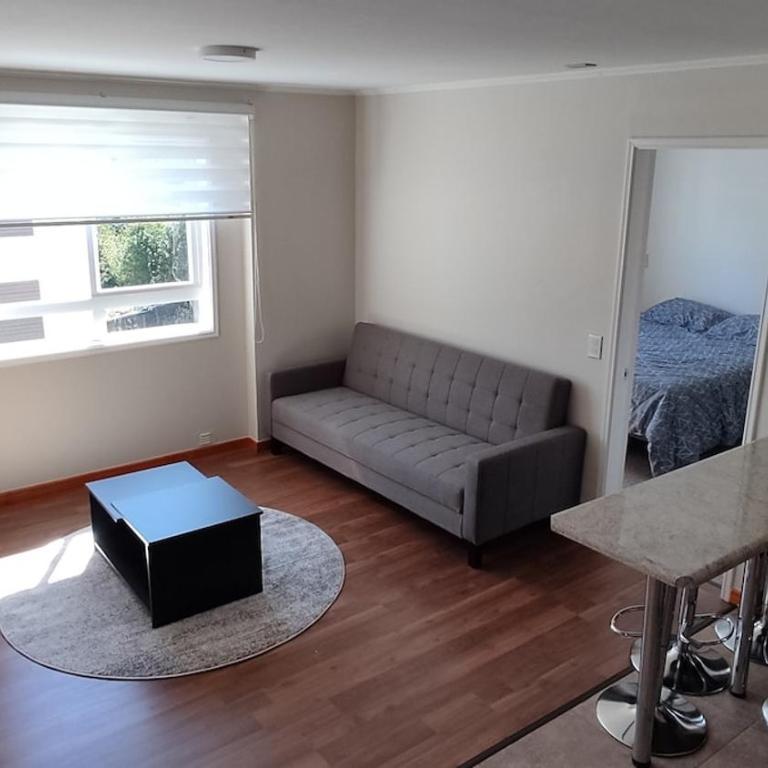 Departamento Full Amoblado Condominio Pelluco - One-Bedroom Apartment - 1