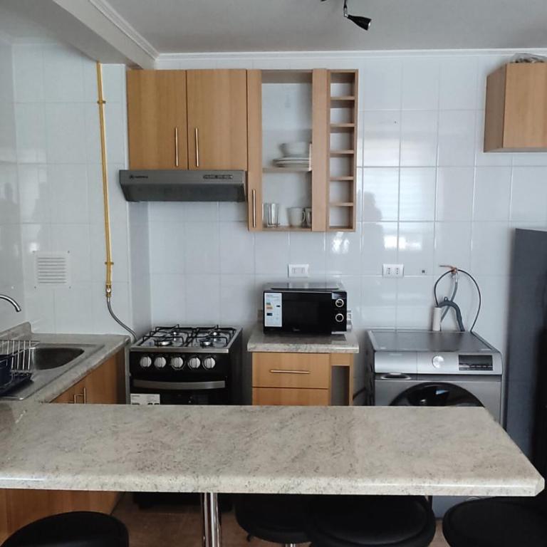 Departamento Full Amoblado Condominio Pelluco - One-Bedroom Apartment - 4